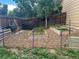 Backyard garden area with raised garden beds, mulch and various plants at 5310 E Manchester Dr, Castle Rock, CO 80104