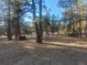The expansive backyard features mature trees, with a wooded and natural setting at 36351 County Road 21, Elizabeth, CO 80107