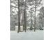Exterior winter scene with a home and outbuildings covered in snow, surrounded by trees at 36351 County Road 21, Elizabeth, CO 80107