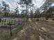 A spacious fenced garden area with raised garden beds, a shed and scattered trees at 36351 County Road 21, Elizabeth, CO 80107