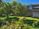 Well manicured backyard and garden with lush green grass, trees and colorful flowers at 7077 Ammons St, Arvada, CO 80004