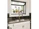 Close-up view of a kitchen sink with a black faucet and plants in the window at 1453 S Lafayette St, Denver, CO 80210