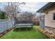 Backyard area with a trampoline on artificial turf, offering a fun and low-maintenance play space at 115 S Jasmine St, Denver, CO 80224