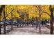 Scenic street lined with vibrant autumn trees and benches at 1700 Bassett St # 502, Denver, CO 80202