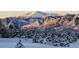 Scenic mountain view showcasing snow-capped peaks beyond a verdant forest in winter at 1120 Brenthaven Ct, Monument, CO 80132