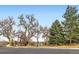 A street view of trees at 2358 Dogwood Cir, Louisville, CO 80027