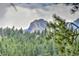 Picturesque mountain view framed by lush green pine trees and a cloudy sky at 15175 Rainbow Dr, Sedalia, CO 80135