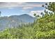 Beautiful mountain view through lush green pine trees, showcasing the natural landscape at 15175 Rainbow Dr, Sedalia, CO 80135