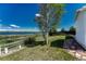 Beautiful fenced backyard, with lush lawn, a birch tree, and stone pavers at 1353 Mallard Ln, Brighton, CO 80601
