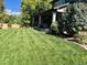 Expansive backyard with a covered patio and lush green lawn at 3188 Lynwood Ave, Highlands Ranch, CO 80126