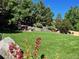 Spacious backyard with a well-maintained lawn, beautiful flowers, and mature trees at 3188 Lynwood Ave, Highlands Ranch, CO 80126