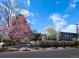 A modern residence showcases spring blossoms, manicured landscaping, and architectural design under a bright sky at 101 S Humboldt St, Denver, CO 80209
