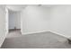 Finished basement offering extra living space with grey carpeting at 1155 Garfield St, Denver, CO 80206