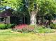 Charming home with a well-manicured front yard showcasing vibrant flowers and a mature shade tree at 5618 Carr St, Arvada, CO 80002