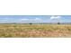 Expansive vacant land with distant stadium and mountain views, ideal for development or recreation at 6364 Fulton St, Denver, CO 80238