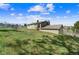 Spacious backyard featuring lush greenery and a trampoline, perfect for recreation at 1151 Buttercup Rd, Elizabeth, CO 80107