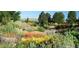 Lush landscaping with colorful flowers and winding pathways, providing a serene outdoor escape at 2093 S Holland St, Lakewood, CO 80227