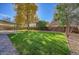 Sunny backyard with grassy lawn and mature trees at 6749 Ingalls St, Arvada, CO 80003