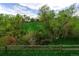 Lush backyard view, showcasing a vibrant green lawn, mature trees, and a rustic wooden fence at 5238 S Jericho Way, Centennial, CO 80015