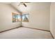 Empty bedroom features plush carpet, neutral paint and a wall of windows that provides ample light at 2245 Ridgeview Way, Longmont, CO 80504