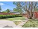 Large backyard featuring green lawn, privacy fence and mature shade trees at 1545 Steele St, Denver, CO 80206