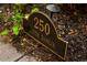 Close-up of a dark address sign with gold numbers reading '250 South Dahlia' at 250 S Dahlia St, Denver, CO 80246