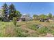 The backyard has lawn and trees; there is also a shed at 6303 W Exposition Ave, Lakewood, CO 80226