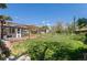 Backyard featuring lawn, patio with pergola, and detached shed at 6303 W Exposition Ave, Lakewood, CO 80226