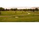 Wide community green space perfect for sports, games and walking at 6213 Gray St, Arvada, CO 80003