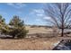 Backyard view looking out to the adjacent community open space at 4695 Bobolink Dr, Castle Rock, CO 80109