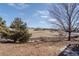 Expansive backyard view with a fence line, trees, and neighboring houses at 4695 Bobolink Dr, Castle Rock, CO 80109