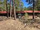 Wooded property with a cozy single-story house featuring wood siding and a red roof surrounded by trees at 33477 Valley View Dr, Evergreen, CO 80439