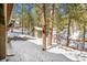 Backyard surrounded by towering evergreen trees and privacy fence, creating a secure and natural outdoor space at 33477 Valley View Dr, Evergreen, CO 80439