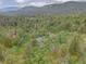Scenic aerial view of a home nestled among lush trees with a mountain backdrop at 28858 Richmond Hill Rd, Conifer, CO 80433