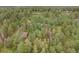 Scenic aerial view of a home with a detached garage, nestled among lush trees at 28858 Richmond Hill Rd, Conifer, CO 80433