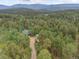 Scenic aerial view of a home nestled among lush trees with a mountain backdrop at 28858 Richmond Hill Rd, Conifer, CO 80433