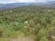 Scenic aerial view of a home nestled among lush trees with a mountain backdrop at 28858 Richmond Hill Rd, Conifer, CO 80433