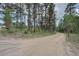 Gravel driveway leading to wooded property featuring mature trees at 28858 Richmond Hill Rd, Conifer, CO 80433