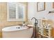 Elegant bathroom features a luxurious soaking tub, natural light, and stylish decor at 1294 Kittery St, Castle Rock, CO 80104