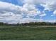 Expansive open field with lush greenery, mature trees, and cloudy blue skies at 629 Jackson St, Lafayette, CO 80026