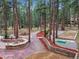 Lush backyard featuring mature pines, a fire pit, landscaped gardens, a bocce court, and a winding stone pathway at 6723 Perry Park Blvd, Larkspur, CO 80118