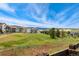 Picturesque community view showcasing the well-maintained homes and lush green spaces at 52 Simmental Loop, Castle Rock, CO 80104