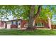 Home with brick facade, attached garage, manicured lawn, and walkway to front door with shade tree at 821 Clarkson Ct, Denver, CO 80229
