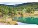Serene view of the lake surrounded by lush greenery and tall trees in the mountains at 499 Silver Creek Rd, Idaho Springs, CO 80452