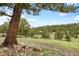 Lush backyard view with a tree swing hanging from a mature tree, and a distant fenced perimeter at 32399 Woodland Dr, Evergreen, CO 80439