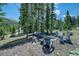 Inviting backyard firepit area with comfortable seating, surrounded by lush trees for a relaxing outdoor experience at 29 Gregory Cir, Breckenridge, CO 80424