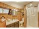 Cozy bathroom with a shower, sink, and toilet at 29 Gregory Cir, Breckenridge, CO 80424