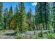 Secluded log cabin nestled among tall pine trees, creating a peaceful retreat in nature at 29 Gregory Cir, Breckenridge, CO 80424