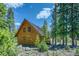 Exterior of rustic log cabin surrounded by lush greenery and mature trees at 29 Gregory Cir, Breckenridge, CO 80424