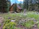 Charming log cabin surrounded by wildflowers, lush greenery, and a serene mountain landscape at 29 Gregory Cir, Breckenridge, CO 80424